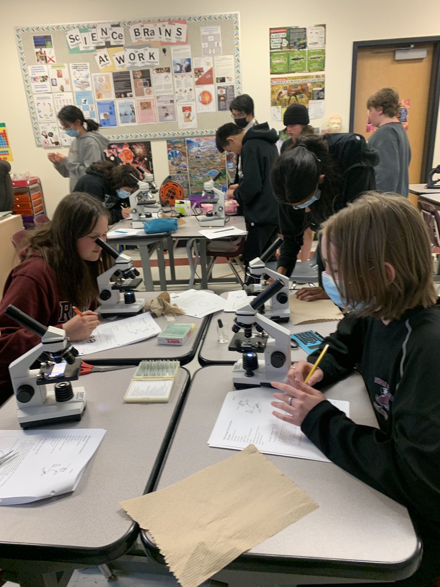 BohayJulie's tweet photo. Sc8 was busy this week exploring all things small!🔬
Warms my heart to hear “This is cool!”, “Check this out!” After years of covid restrictions 
#futuremicrobiologists
#becurious 
@RundleJrHigh https://t.co/BMuHkI0hGB