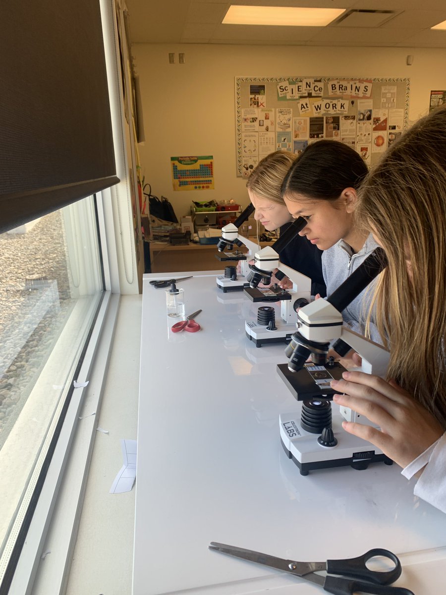 BohayJulie's tweet photo. Sc8 was busy this week exploring all things small!🔬
Warms my heart to hear “This is cool!”, “Check this out!” After years of covid restrictions 
#futuremicrobiologists
#becurious 
@RundleJrHigh https://t.co/BMuHkI0hGB