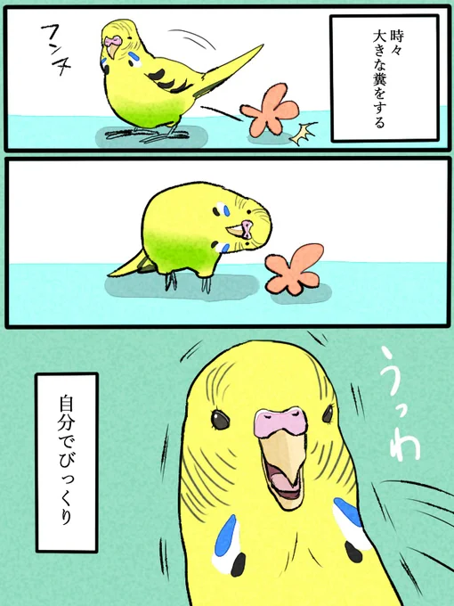 先代インコはこれだった 
