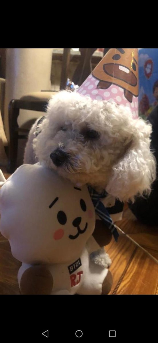Jeonvaleri_'s tweet photo. Just a coincidence 💜😸 @BTS_twt #SUGA #minyoongi https://t.co/8n0c8ewu2S