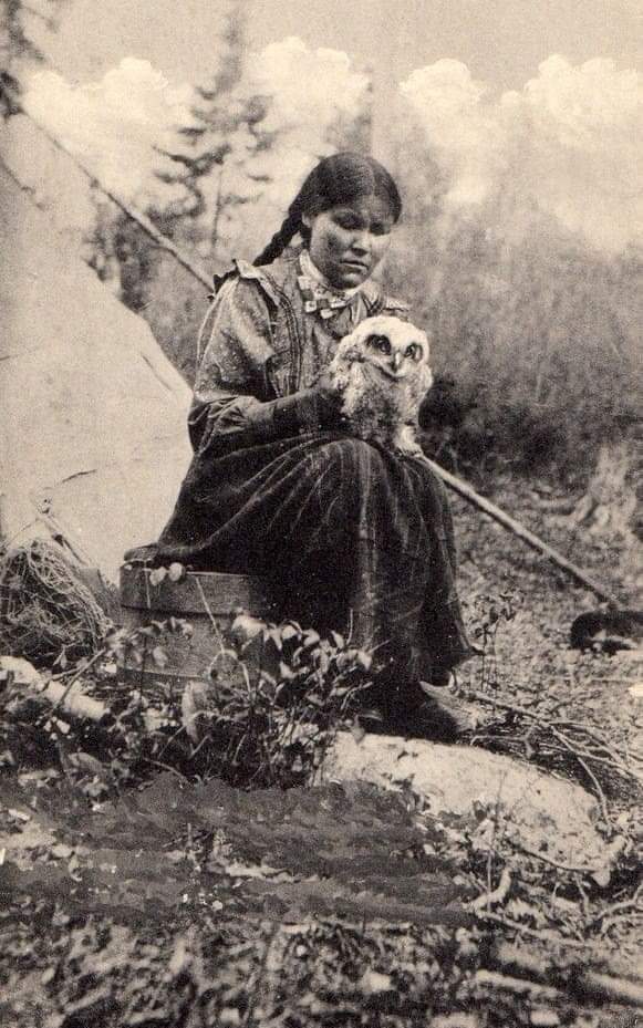 BeardedBrownMa1's tweet photo. A Native Canadian woman sitting with an owl at Blind River, Ontario, 1910.  Where she sat, and her forefathers sat, is now an exclusive Golf &amp; Country Club for WASPS who came from England and stole her land. #canada #nativecanadian https://t.co/NblN3SiDfx