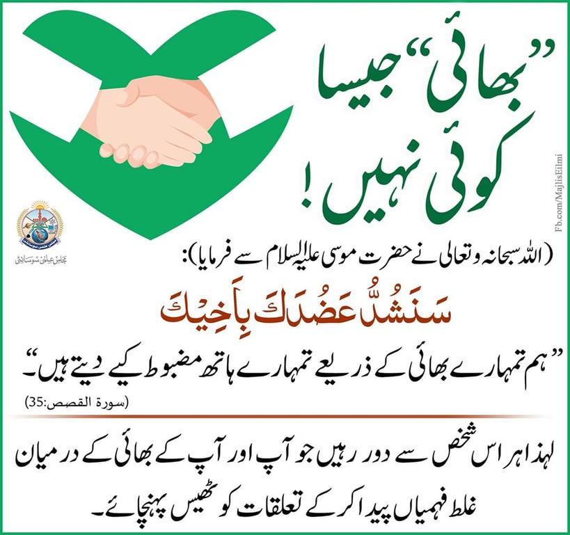 بھائی جیسا کوئی نہیں!