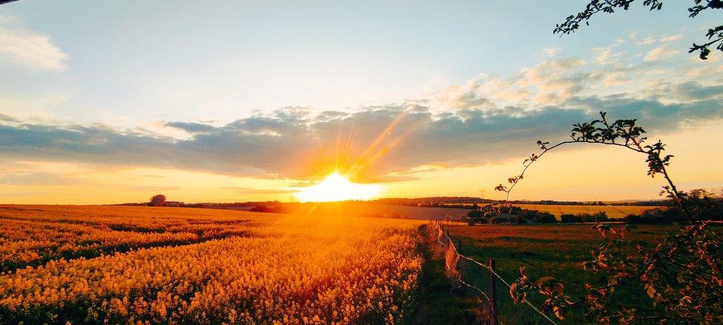 BeinrothAndreas's tweet photo. #sunset https://t.co/iqNfriWZDa