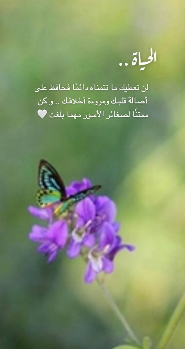 ثق أن ..
 عَوضّ الله سَيمحِي مُرّ مَا رَأيت ، 
وَمَا تَلوعت وكلّ خَـيبةٍ ذُقتها، وكلّ غصَّة عَالِقة فِي صَدرِكَ 💕