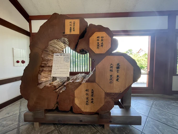 樹齢約2600年の台湾ヒノキ。Dr.ストーンの世界ではこれ級のヒノキ使い放題なんか…。 