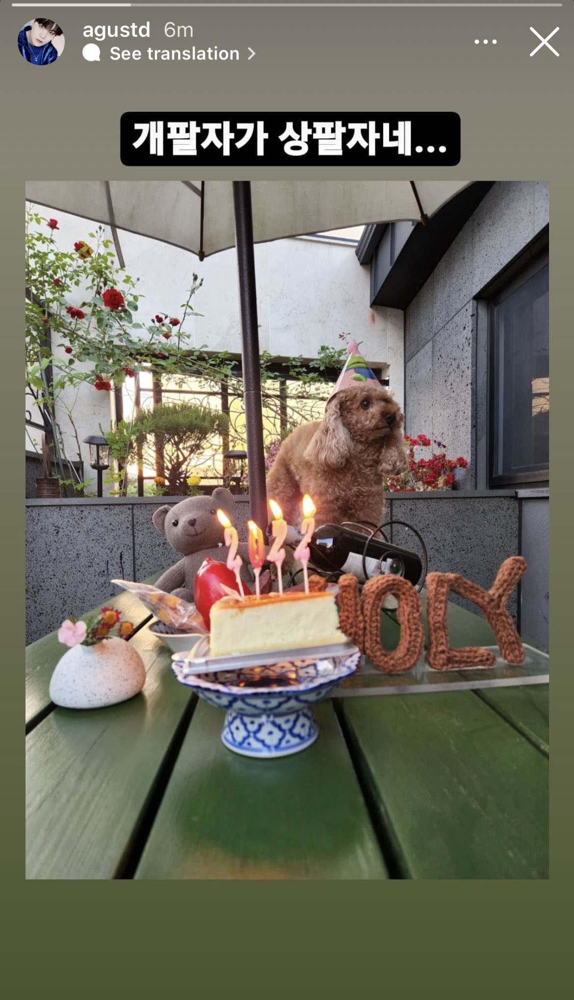 Happy birthday holly!!!! One of the best things about being a fur parent, celebrating our fur babies birthday   