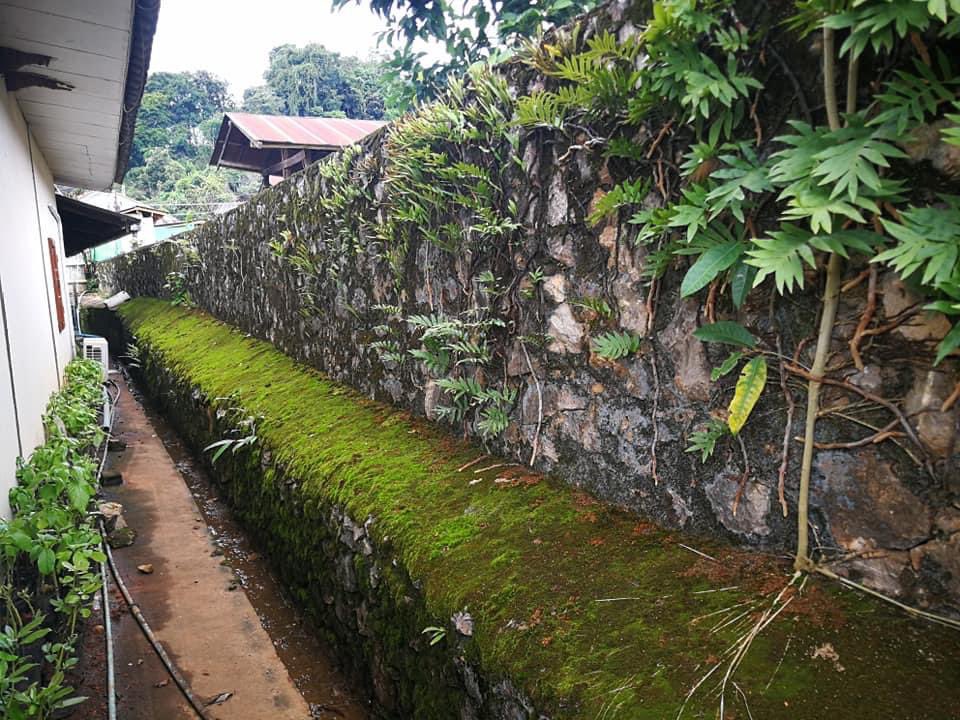 Khondark11's tweet photo. My utility? 
To plant a tree on the mountain as a way of thanking nature and for people For the collectors who own my NFT work.😂😂🍀🍀🍀
#Makingpeacewithnature #NFTs #NFT #NFTCommunityCryptoArt #NFTCommunity #BrushStroke #opensea 

https://t.co/jgYsEIL2Wj https://t.co/dkQYJmmV46