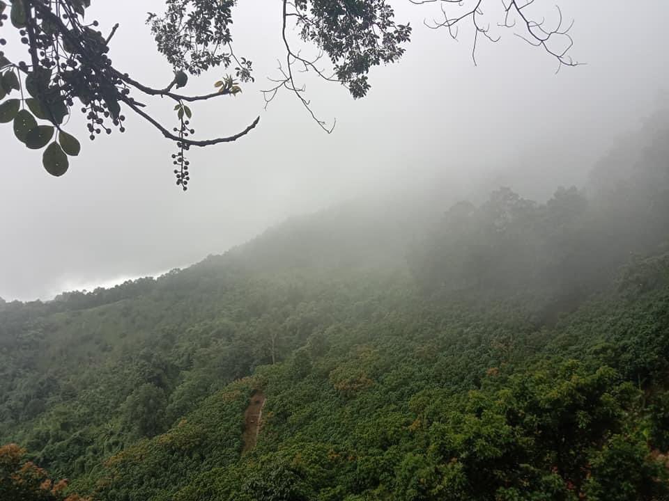 Khondark11's tweet photo. My utility? 
To plant a tree on the mountain as a way of thanking nature and for people For the collectors who own my NFT work.😂😂🍀🍀🍀
#Makingpeacewithnature #NFTs #NFT #NFTCommunityCryptoArt #NFTCommunity #BrushStroke #opensea 

https://t.co/jgYsEIL2Wj https://t.co/dkQYJmmV46