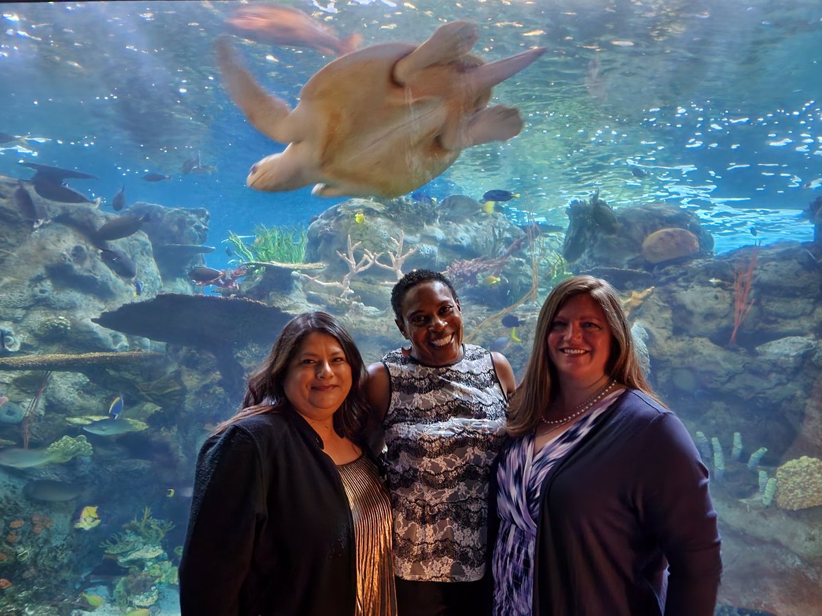 April Moore tweet media