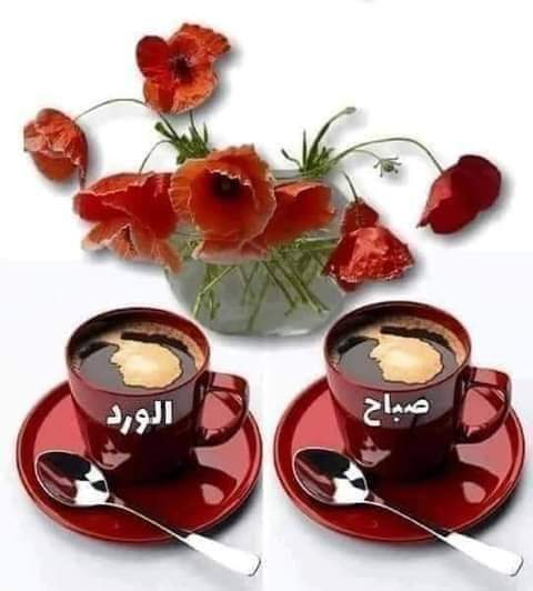 abofady02770468's tweet photo. @Mai15036655 https://t.co/O651FPaDrQ