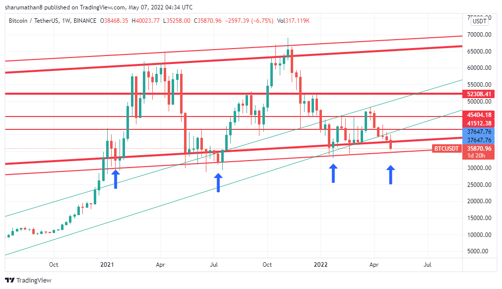 sharu_mathan's tweet photo. dont worry guys everything looks fine in weekly candle dont got panic btc is on the way to the moon..... dont sell at loss ..... #btc #ElonMusk https://t.co/29EjCZLBPP