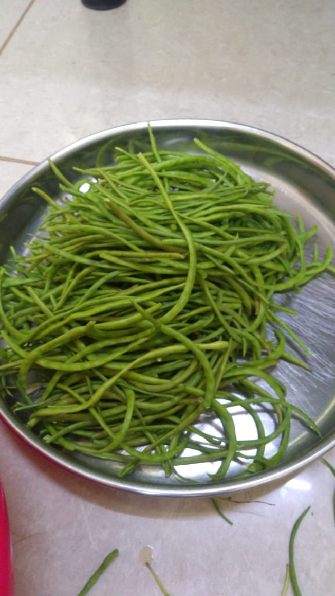 मेरे गांव की देशी सब्जी , #खेजड़ी की सांगरी