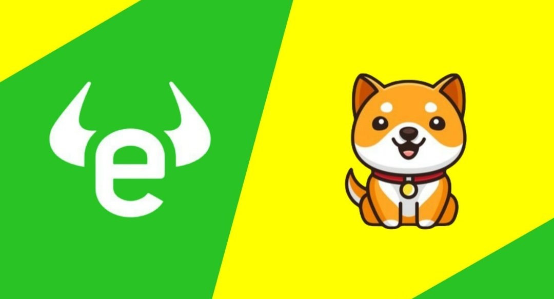 deris_bo's tweet photo. Do you want @eToroNL list #BabyDoge? 👀🔥🤯💹🚀

YES          YES           YES 
👇            👇              👇 https://t.co/1eQI8xyUoo