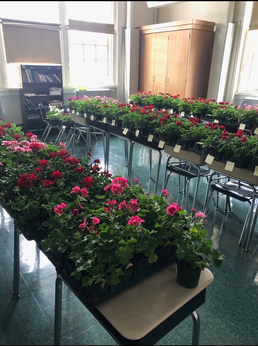 IS77Queens's tweet photo. Happy Mothers Day to Mothers, Grandmothers, Godmothers, Aunts and Mother figures. Enjoy your flowers with love from IS 77!

#JFQ #IS77 #MiddleSchool #School #Ridgewood #Queens #NYC #NY #NewYork #NewYorkCity #HappyMothersDay #MothersDay https://t.co/A8ZhCHMasY