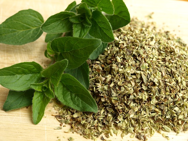 HealthyHubb's tweet photo. 10 proven Health Benefits of Oregano
https://t.co/GDGXCk8hGu https://t.co/wTbL2m2Ley