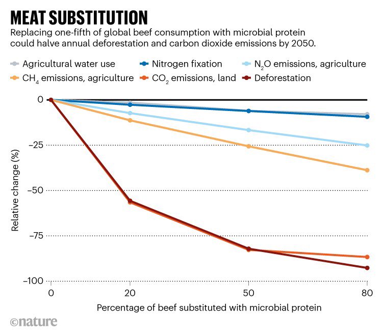 Als we 20 procent van ons rundvlees laten staan voor vleesvervangers, betekent dat de helft minder ontbossing en CO2-uitstoot in de komende 30 jaar. Dat blijkt uit een nieuwe studie in Nature. nature.com/articles/d4158…