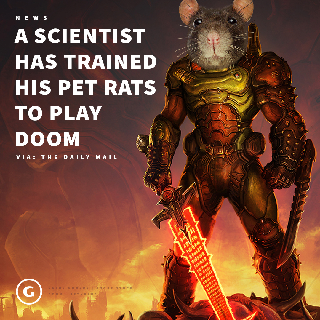 GameSpot's tweet photo. This is how it starts... 🐀🌎🔥 https://t.co/0l9fjYioZ1