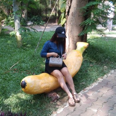 PitchyBee's tweet photo. #NewProfilePic https://t.co/BKx37w8Fw2