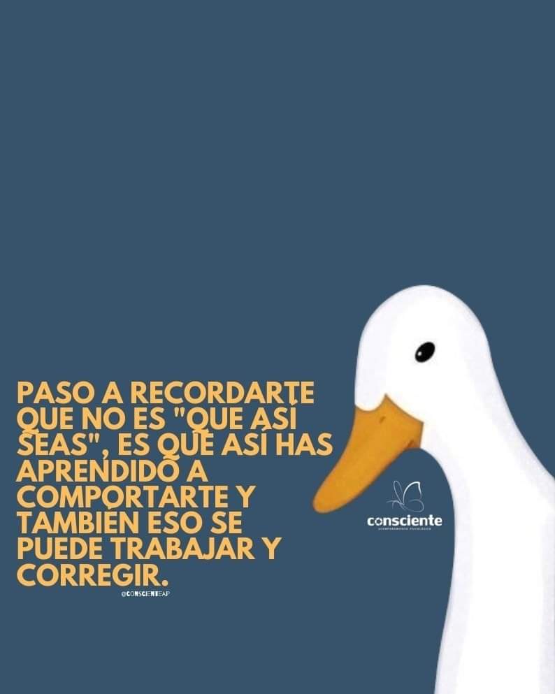 ciielo_castro's tweet photo. https://t.co/g7AO9vtbWM