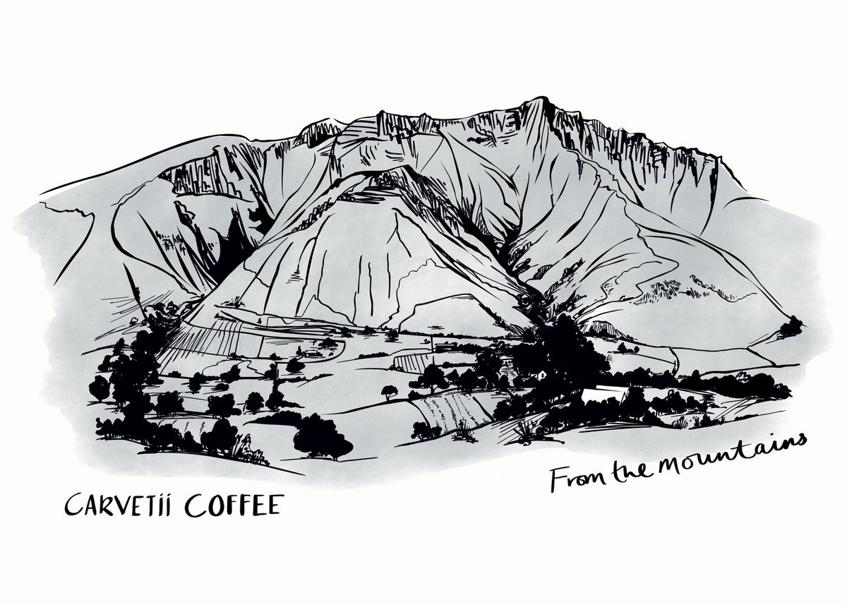 CarvetiiCoffee's tweet photo. This stunning illustration by @holly.acland.illustration is now featured on many of our products

As well as being a nod to the location of our Roastery it also reflects the influence of the landscape on our coffee roasting https://t.co/xXo5GociEB