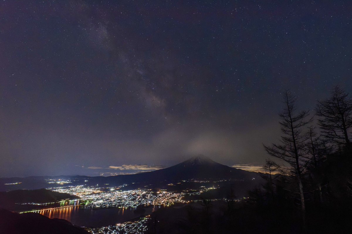 JapaTabi tweet media