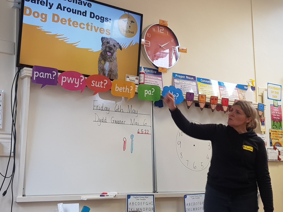 Ynysfach1's tweet photo. Diolch Claire from Dogs Trust. Year 3 thoroughly enjoyed your visit. So many of us have pet dogs in the class.. but now we have a much better understanding of how to care for them and their needs and how to stay safe around dogs too. 🐶🐕🐩#caringforpets https://t.co/RcjRFS6Gls