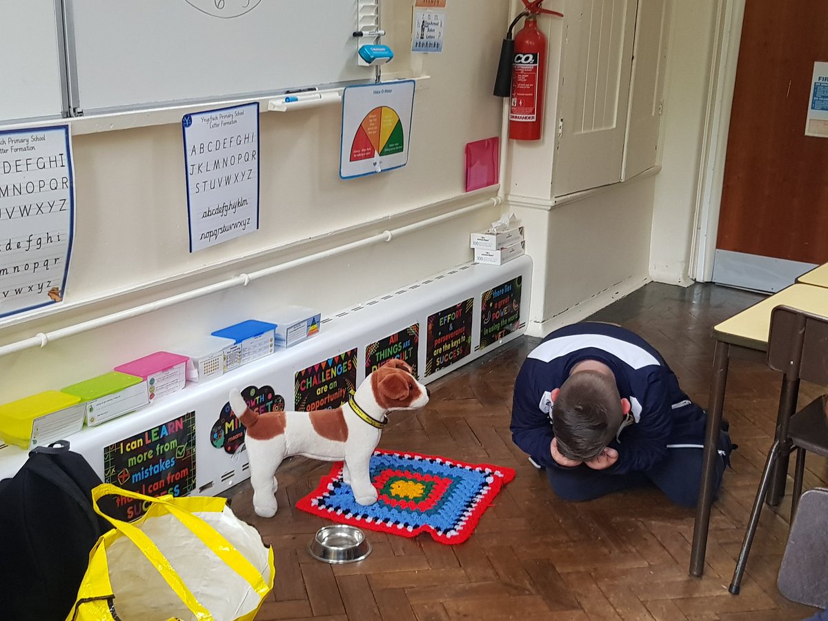 Ynysfach1's tweet photo. Diolch Claire from Dogs Trust. Year 3 thoroughly enjoyed your visit. So many of us have pet dogs in the class.. but now we have a much better understanding of how to care for them and their needs and how to stay safe around dogs too. 🐶🐕🐩#caringforpets https://t.co/RcjRFS6Gls