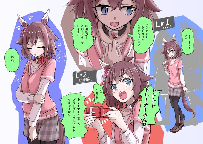 チヨノオーちゃんに首輪をプレゼントしたい! 