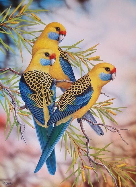 Good morning ☀️ صباح الخير 🌞 يومًا جميل ☺️