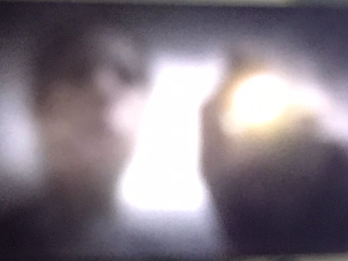 samcarrion18's tweet image. Se viene el mejor capítulo #ElMarginal5 ✊🏼