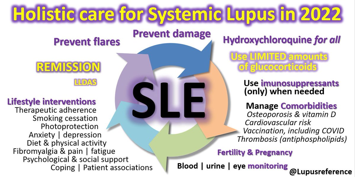 Lupusreference's tweet photo. ✅ May is #lupusawareness month
Check my take ⬇️ on the #holistic care for #Lupus in 2022.
👀 What would you add to this? https://t.co/MHJRSNdRoz
