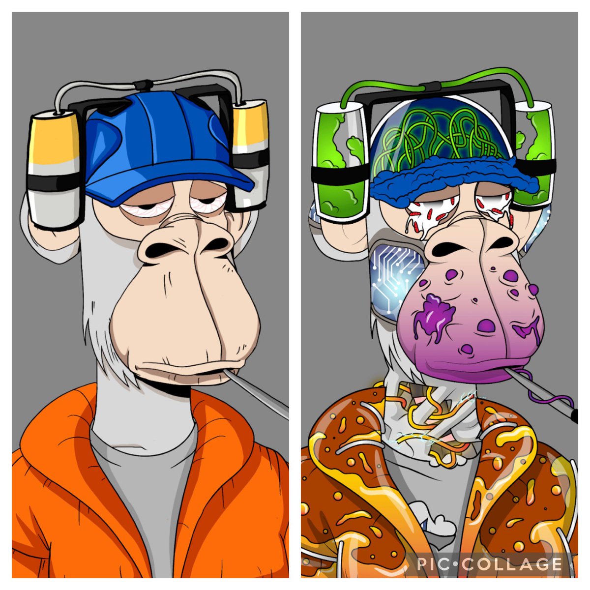 aroyalweb3's tweet photo. How cool is this? 

Before &amp; after drinking the serum 🧪@ApeDadsNFT 

#apedad #MutationNation #NFTGANG #nftcommunity #elon #beanz #moonbird #azuki #BAYC #Crypto https://t.co/lvM6EABoYa