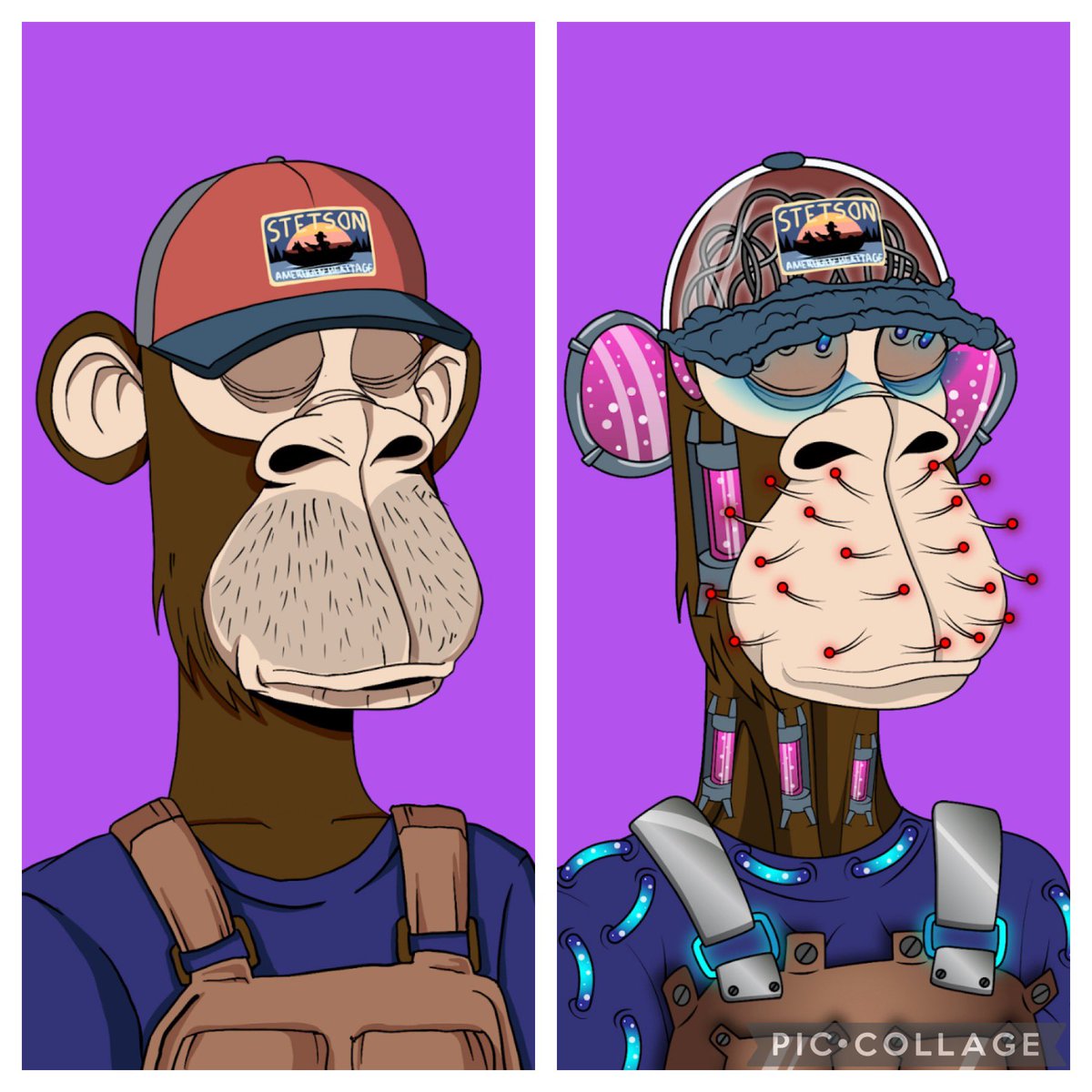 aroyalweb3's tweet photo. How cool is this? 

Before &amp; after drinking the serum 🧪@ApeDadsNFT 

#apedad #MutationNation #NFTGANG #nftcommunity #elon #beanz #moonbird #azuki #BAYC #Crypto https://t.co/lvM6EABoYa