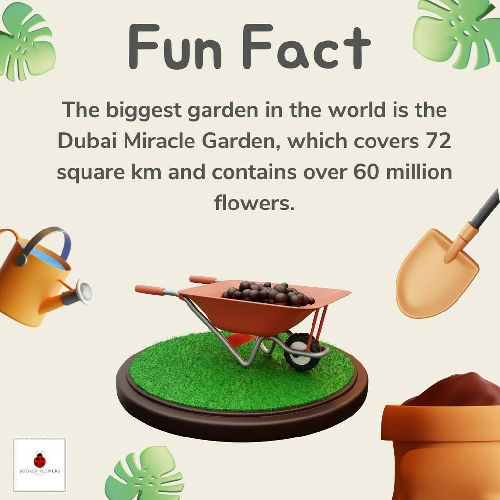 BookerFlowers's tweet photo. Happy "World Naked Gardening Day" 🍑
If you didn't know, World Naked Gardening Day (WNGD) is an annual international event generally celebrated on the first Saturday of May by gardeners and non-gardeners alike 🌱
#WNGD #worldnakedgardeningday #greenf… https://t.co/5Q2ZleSLEP https://t.co/pWlXbP3oLR