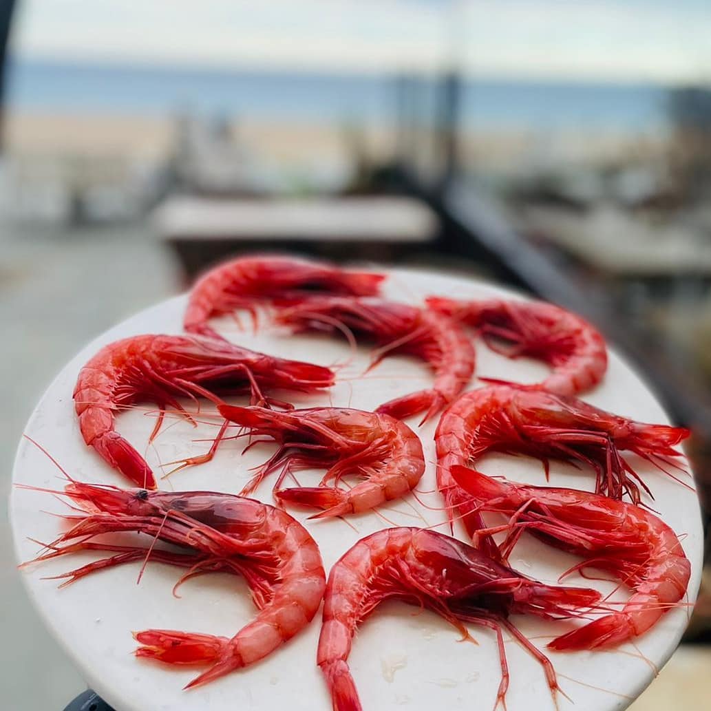 vialliure's tweet photo. 🍴🥘 Arriba el moment que estàveu esperant...el Concurs del restaurant La Calma de Platja d’Aro! Per tant, toca sortejar un àpat fabulós a peu de mar per a dues persones!

📲 Per tant, dits a punt per fer RT d'aquesta piulada des d'ara i NOMÉS fins a les 8 del matí. Molta sort! https://t.co/9NyDN256vO