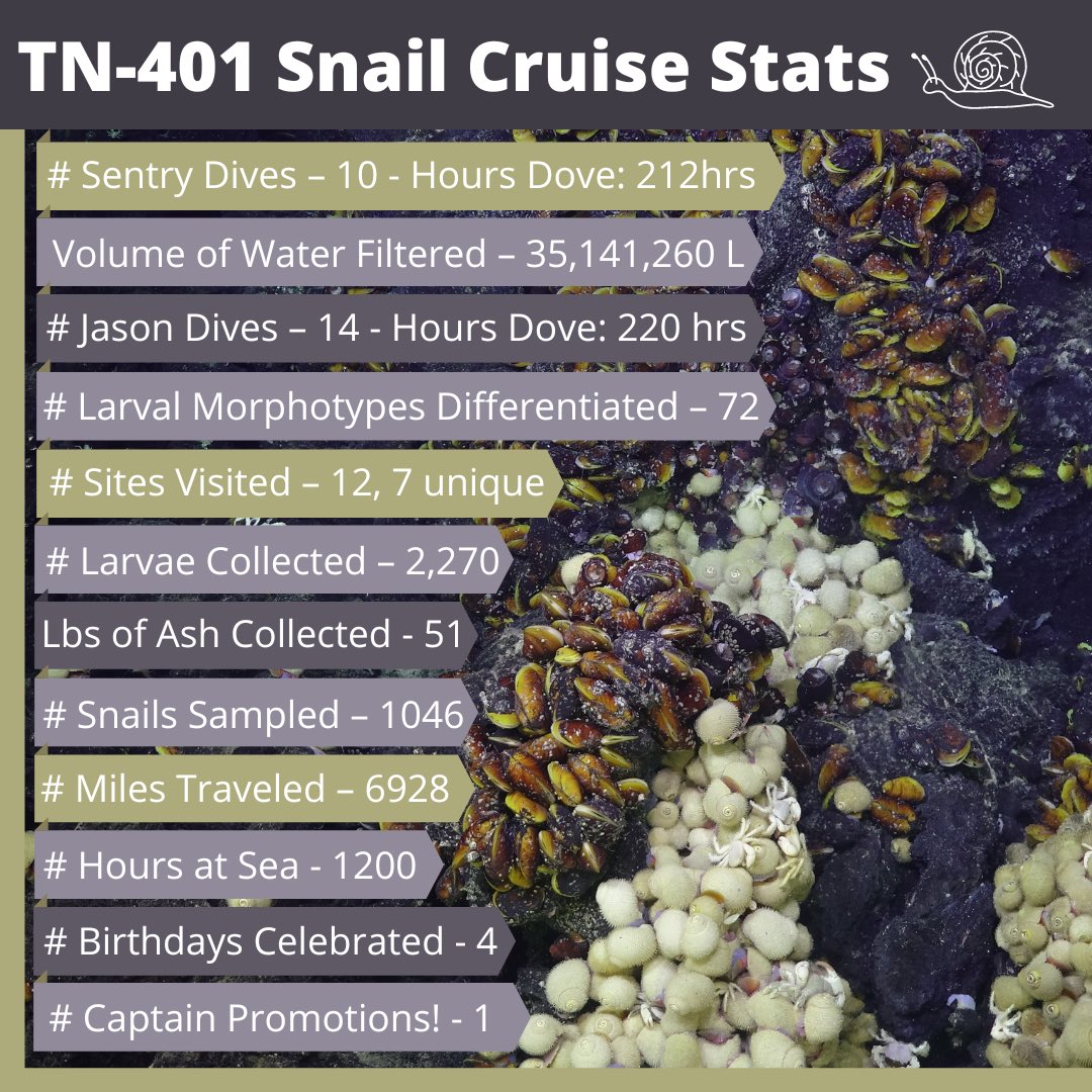 Shawn Arellano tweet media