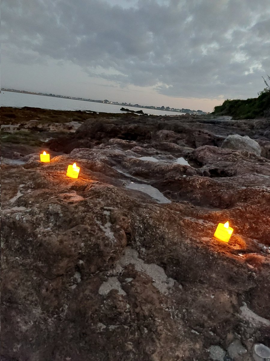 ECremen's tweet photo. #DIL2022 #SuttonStrand
Swimrise https://t.co/MPAaZP0lvx