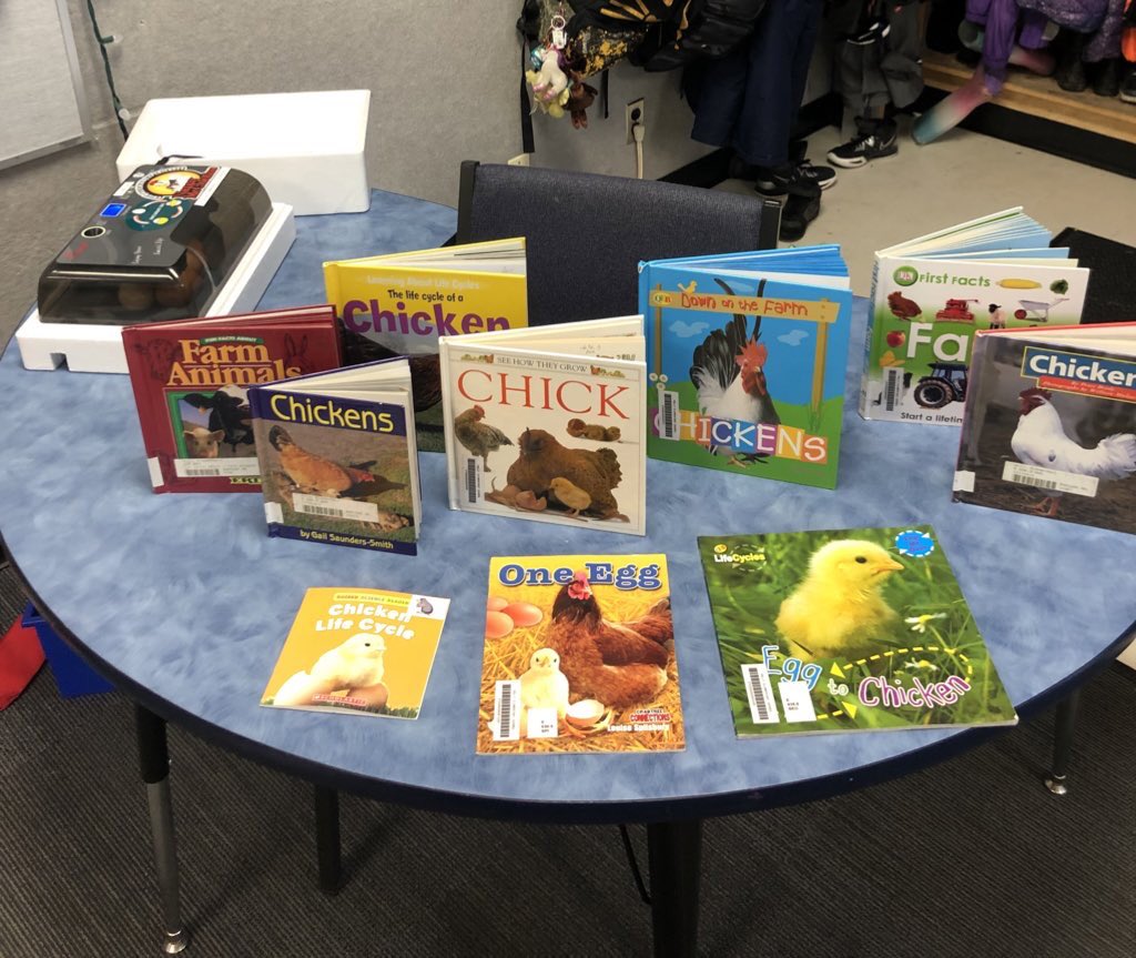 mscasas_teach's tweet photo. To practicing research skills with nonfiction texts 🔍. We had the lovely experience of watching our first baby chick hatch before the weekend 🐥 #lifecycles https://t.co/LR0HBIKdyF