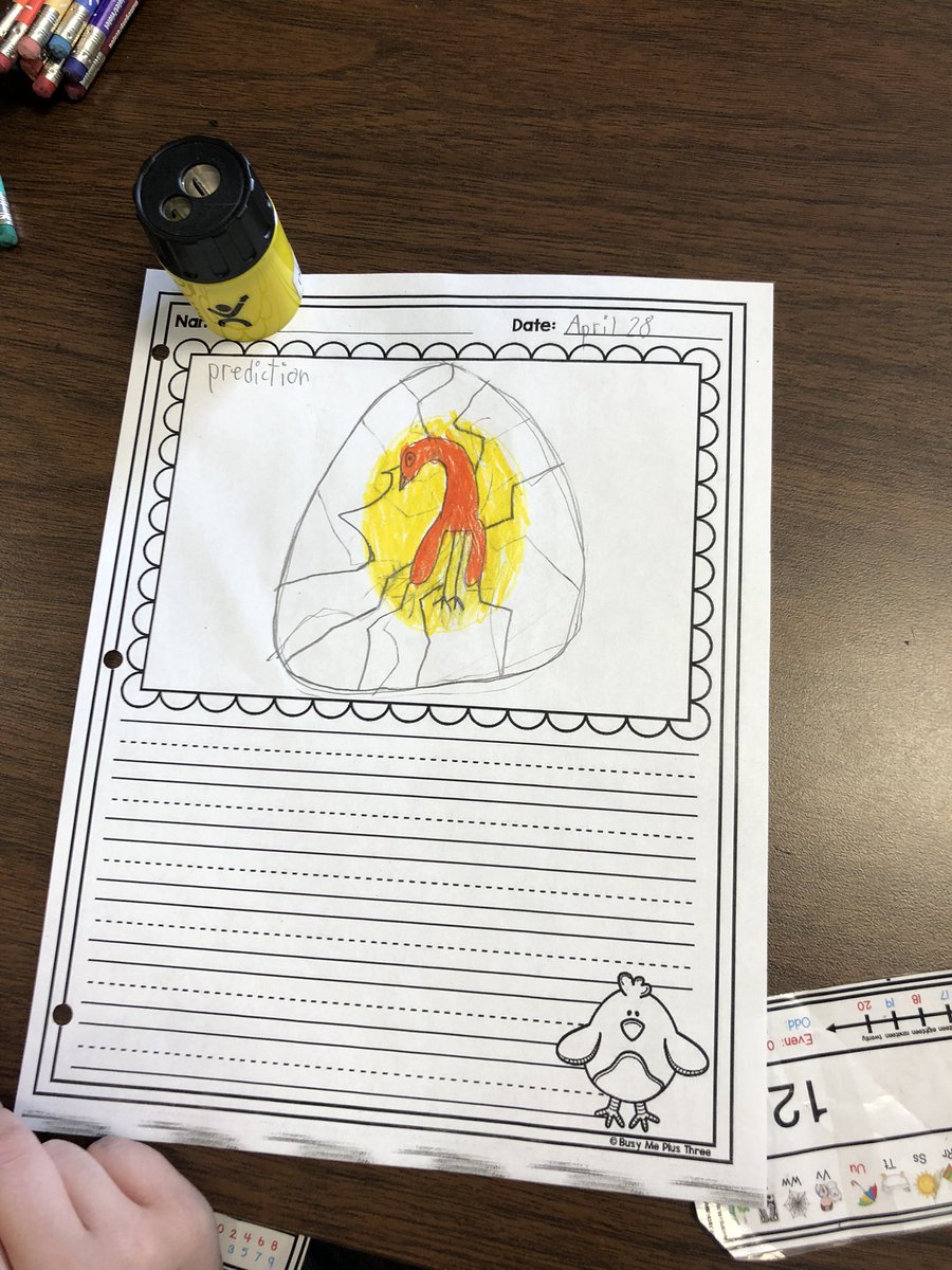 mscasas_teach's tweet photo. From documenting our predictions and observations of the embryo development when candling 🕯🤔💭, https://t.co/okvIVW0BX3