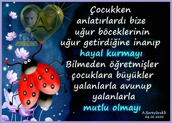 s_sertyurekli's tweet photo. Çocukken anlatırlardı bize uğur böceklerini...✍️🇹🇷 https://t.co/OqSmCLyQTA