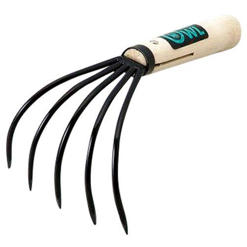 最近流行のシースルーバング もう熊手にしか見えない 話題の画像プラス