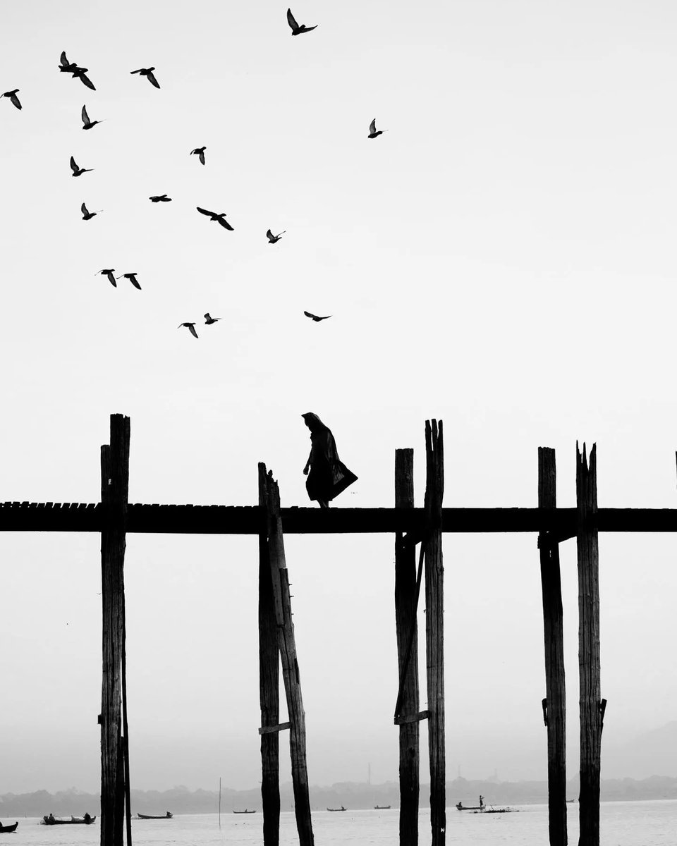 Futura_Noir's tweet photo. The art of being alone ~ 𝘔𝘪𝘮𝘰 𝘒𝘩𝘢𝘪𝘳 https://t.co/UasXdkmmRF