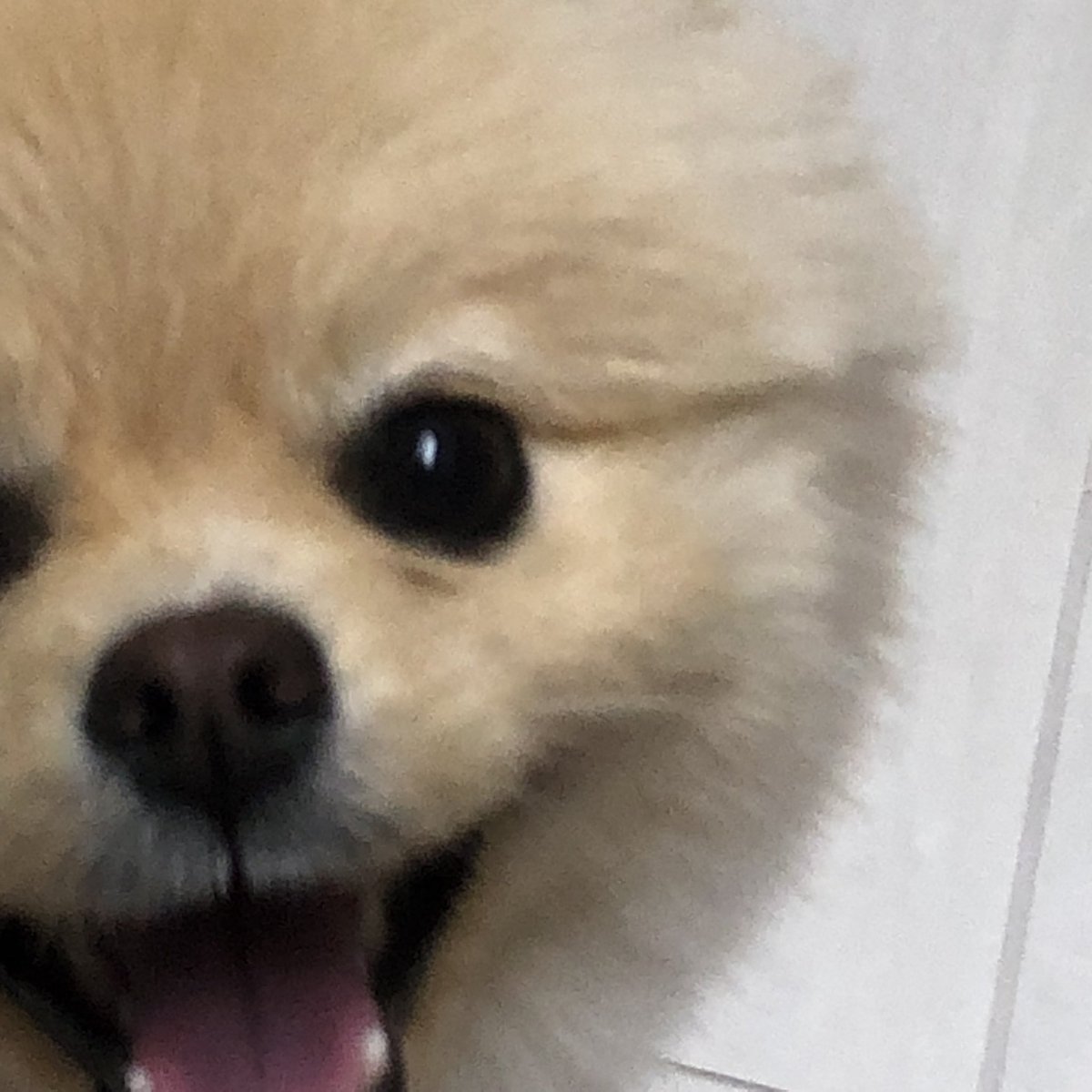 jihe_10's tweet photo. 검은콩 3개…⍤⃝ https://t.co/7fb5O12IZw