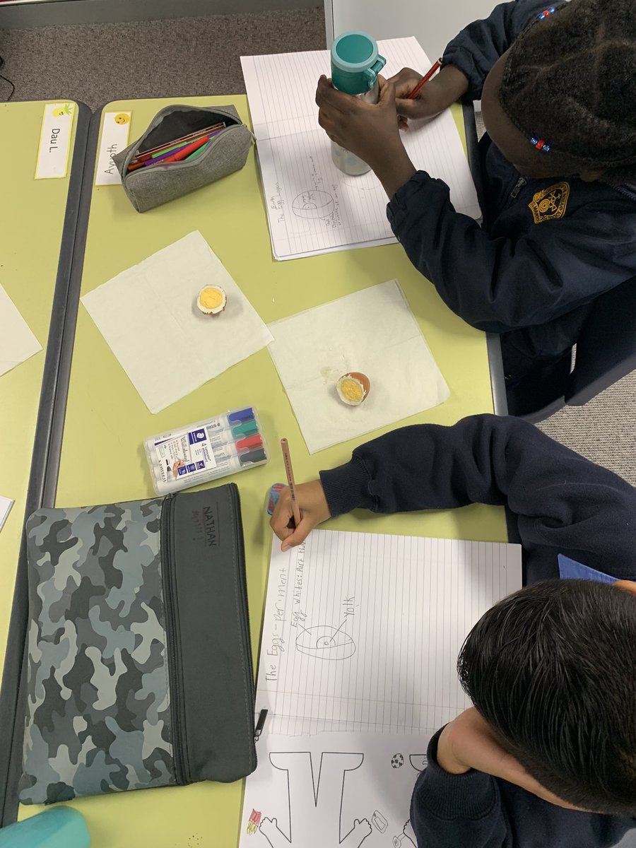 RabbittEmma's tweet photo. Today we worked on the earths layers in year 4! Comparing and contrasting earths layers to an egg. Very fun, engaging and yummy! #acuedu_p https://t.co/aO7WjOBWAe