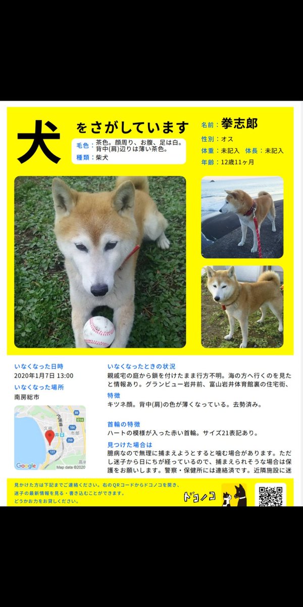 タグ 迷い犬 の注目ツイート 17ページ目 メガとんトラック
