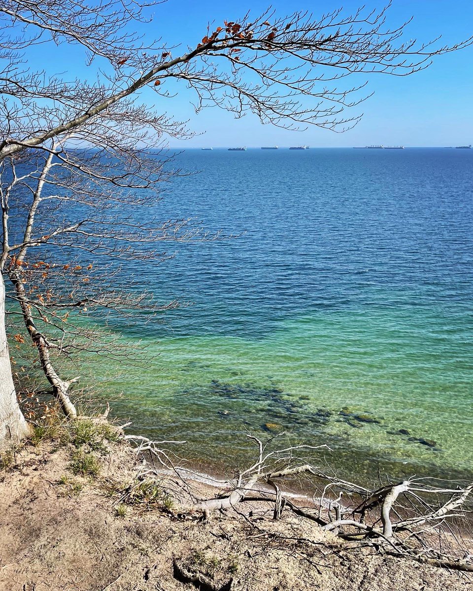 KarenPatrycja's tweet photo. Wiosenne Orłowo /The Baltic Sea in Spring🌊☀️🌿🌱💙💚#gdynia #orlowo #gdyniaorlowo #wiosna #Poland #springtrap #NaturePhotography #nature https://t.co/a71So4yWj1