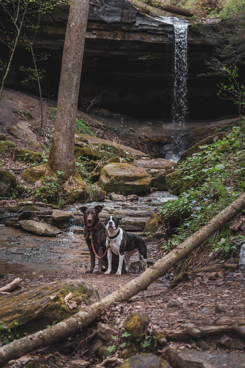 Mahala C tweet media