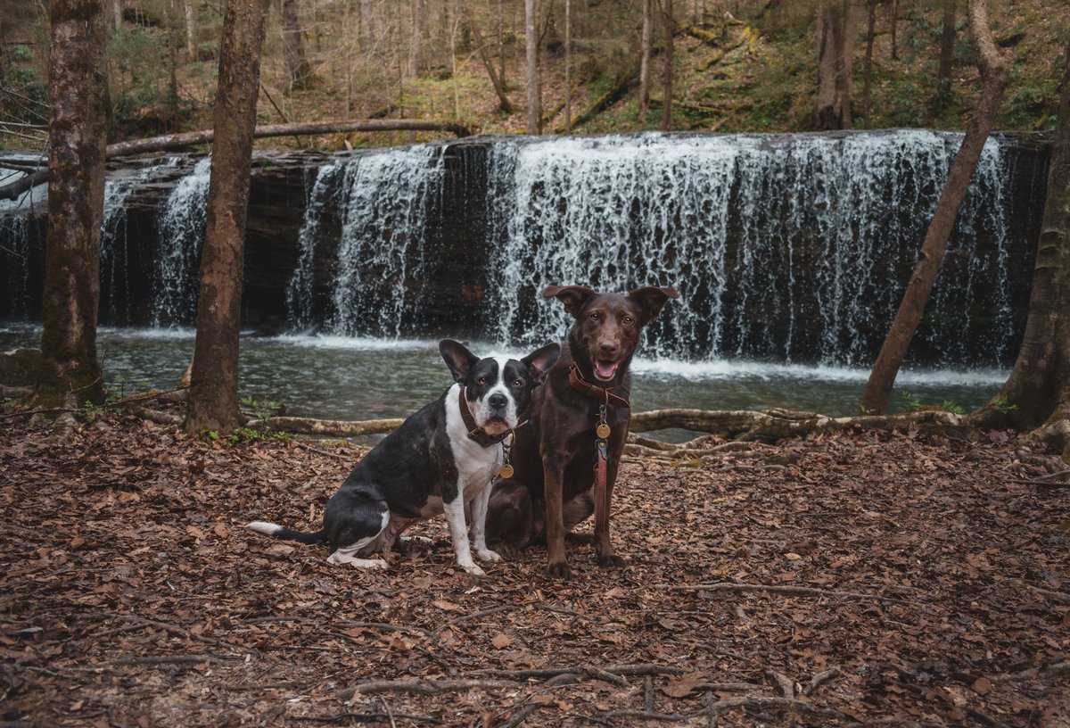 Mahala C tweet media