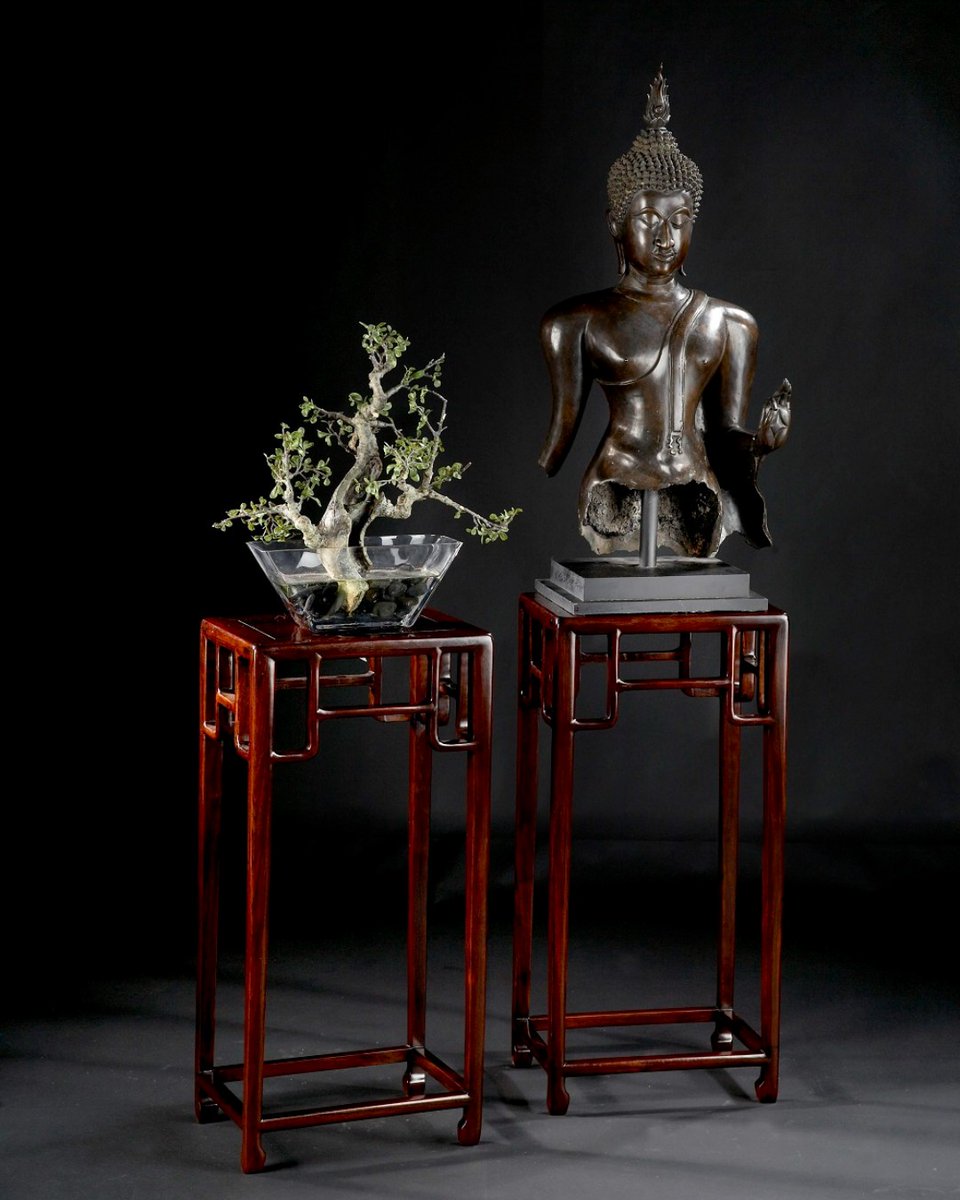 CSWoandSons's tweet photo. Add history and intrigue to your home with antiques.

#cswoandsons #cswo #hawaii #furniture #modern #luxury #hawaiistagram #architecture #antique #honolulu #supportlocal #beautiful https://t.co/NERNY4qDm0