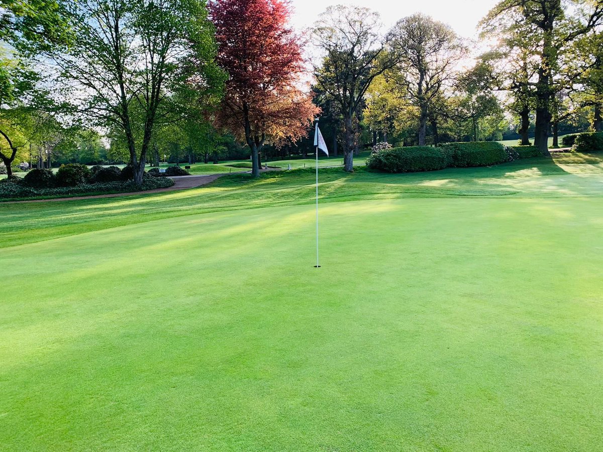 moorhallgolf's tweet photo. Some beautiful shots of our stunning golf course this week 😍🏌🏼‍♀️🏌🏼‍♀️🌹 https://t.co/l3C3sSLXqL